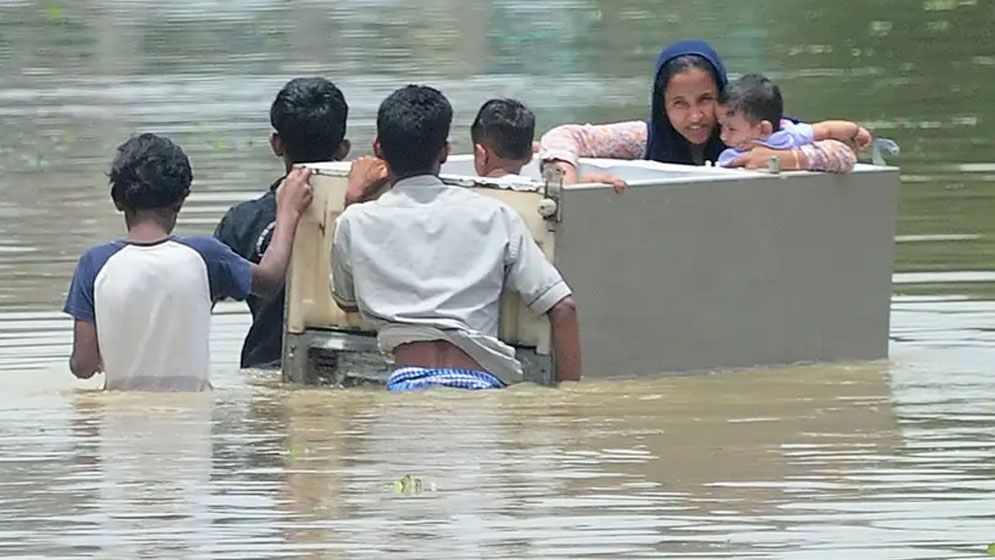 সংগৃহীত 