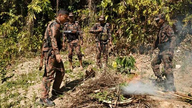 আফিম চাষের বিরুদ্ধে থানছিতে বিজিবির অভিযান