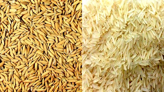 ২৭ টাকায় ধান ও ৪০ টাকা দরে সেদ্ধ চাল কিনবে সরকার